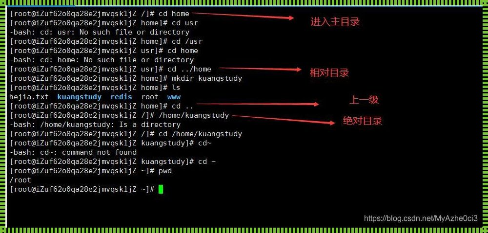 linux点亮网卡命令：你不知道的震惊真相