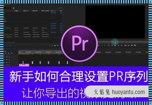 “PR中是什么意思”的深度解读与探讨