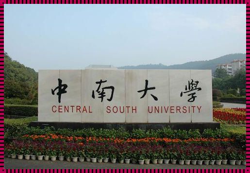 长沙中南大学在哪个位置——探寻知识的殿堂与城市的交融