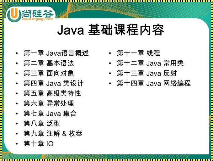 深入探讨Java语言的广泛用途与深远影响