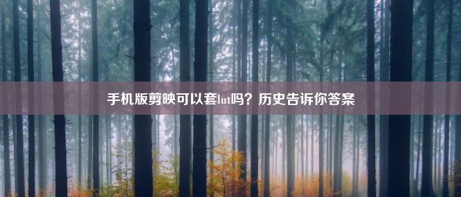 手机版剪映可以套lut吗？历史告诉你答案