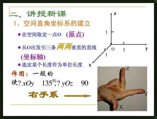 右手直角坐标系示意图：探寻自觉的奥秘