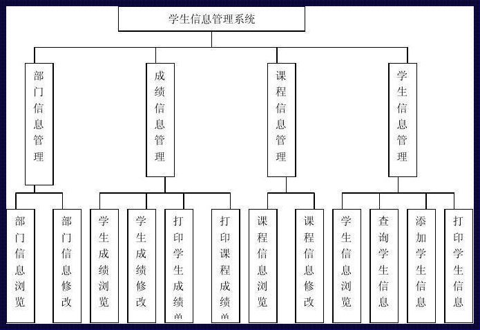 编写学生信息管理系统的探索之旅