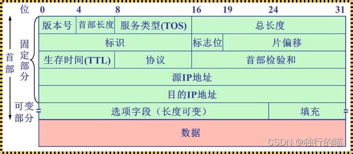 医学领域中的TCP：探寻其深层含义与影响