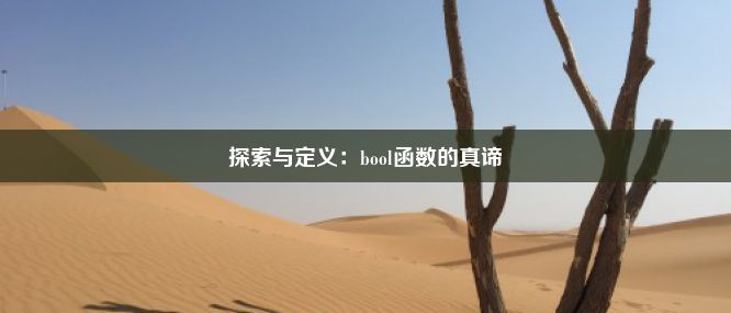 探索与定义：bool函数的真谛