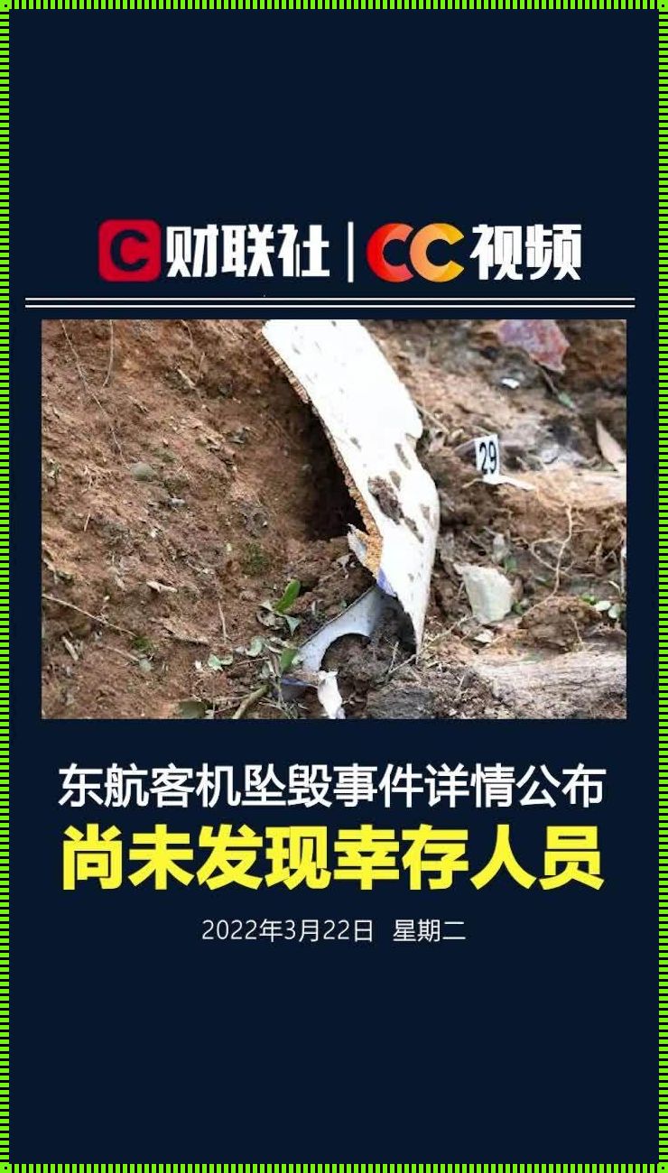 东航事件真相吓死你——一次空难引发的深度思考