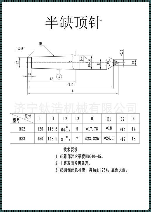 顶尖型号尺寸：塑造未来的力量