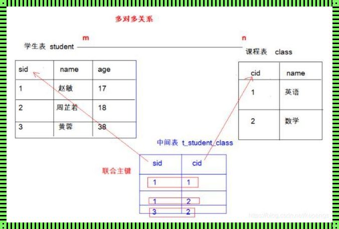 揭开数据库中主键和外键的神秘面纱