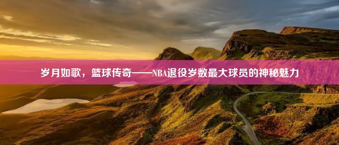 岁月如歌，篮球传奇——NBA退役岁数最大球员的神秘魅力