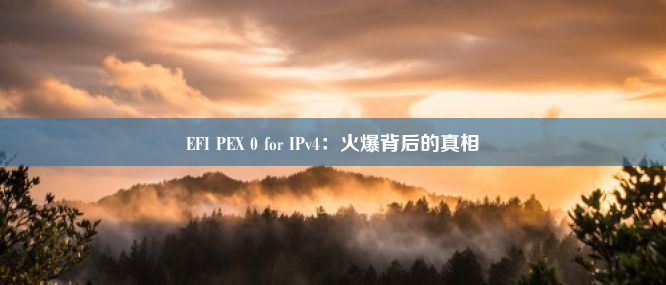 EFI PEX 0 for IPv4：火爆背后的真相