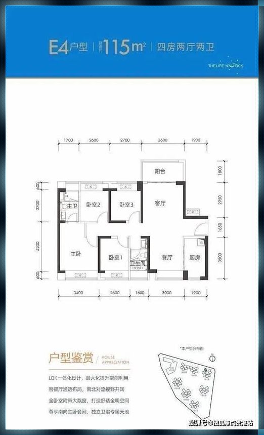 惊现！118图118论坛之家258.的奇妙之旅