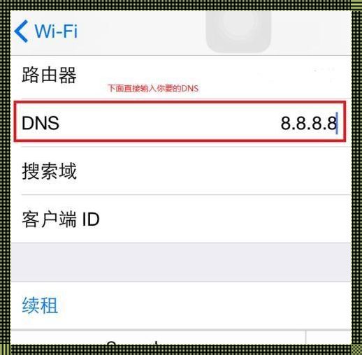 手机怎么DNS设置——快讯