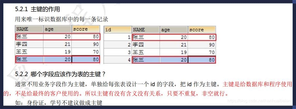 数据库设置主键语句：让数据有序行走的秘诀