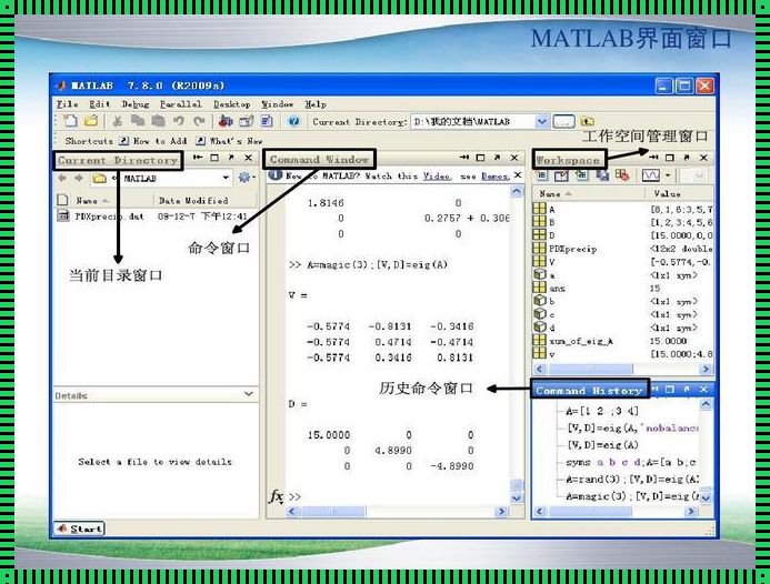 Matlab学习指南：从入门到精通