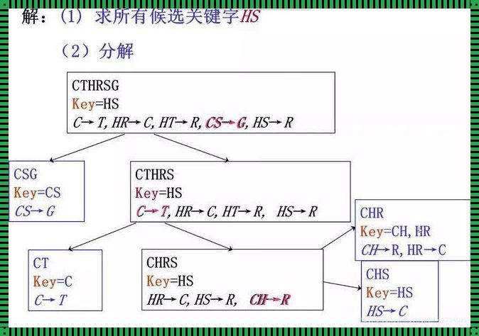 关系完整性约束包括三大类：揭秘