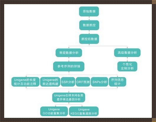 转录组测序费用大概多少啊——神秘的面纱背后