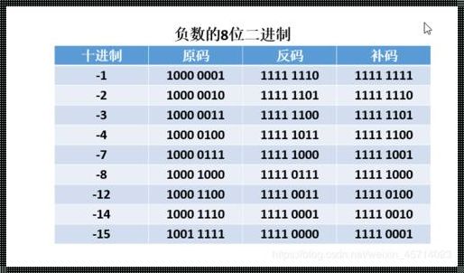 二进制8位：惊现数字世界的神秘力量