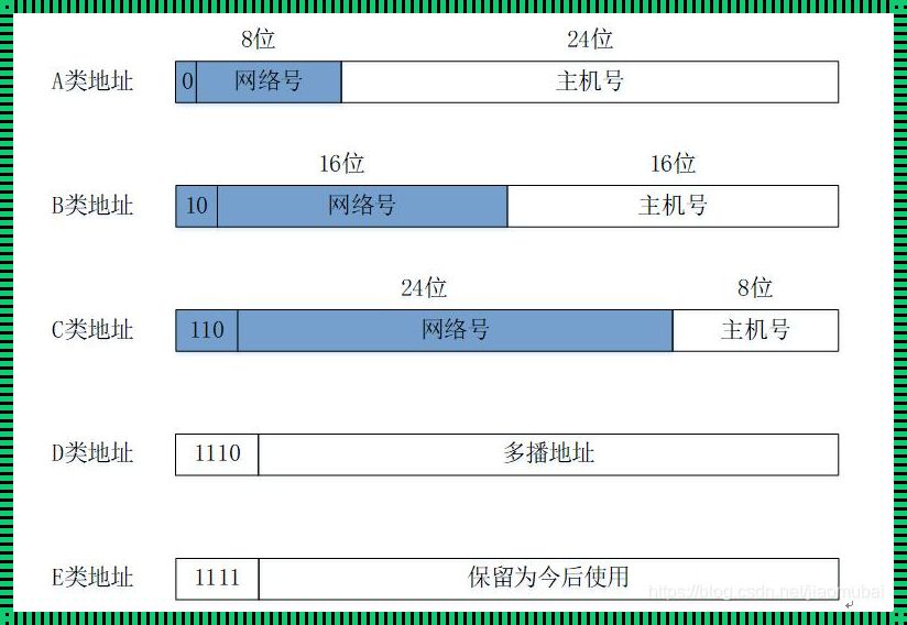 网络号与主机号：解密数字化世界的身份之谜