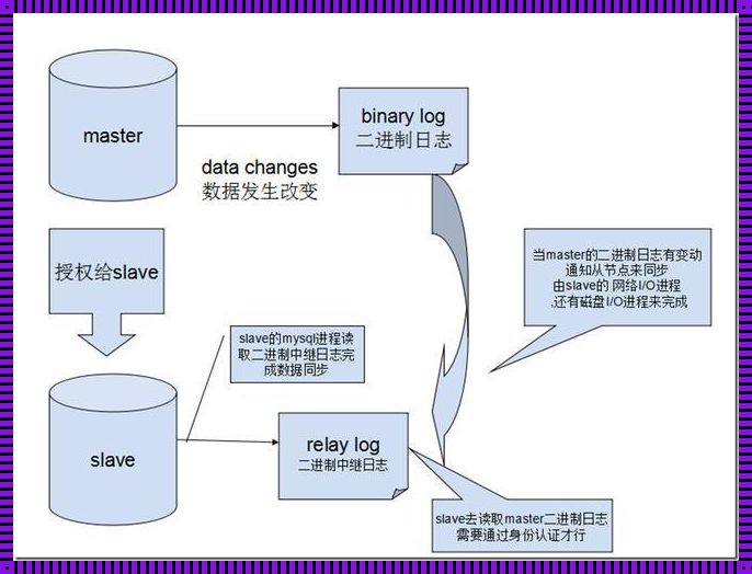 深入剖析MySQL主主和主从区别：斩获数据一致性之谜