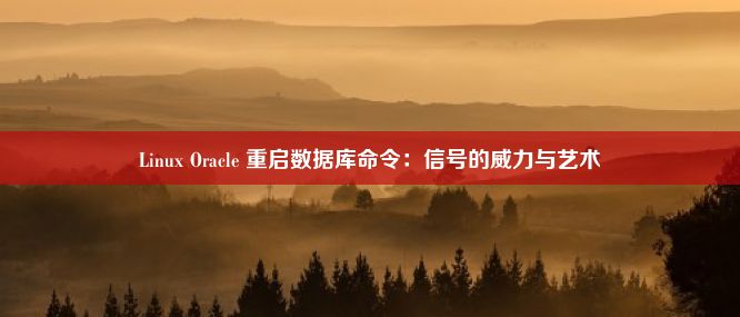 Linux Oracle 重启数据库命令：信号的威力与艺术