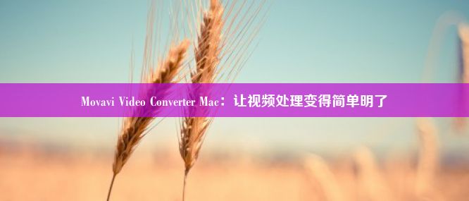 Movavi Video Converter Mac：让视频处理变得简单明了