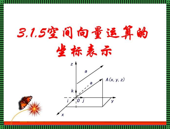 空间向量运算的坐标表示教学视频：开启向量世界的大门