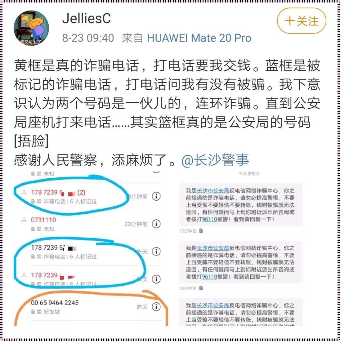 “jellies是什么意思”的探讨与回应