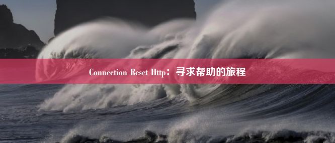 Connection Reset Http：寻求帮助的旅程