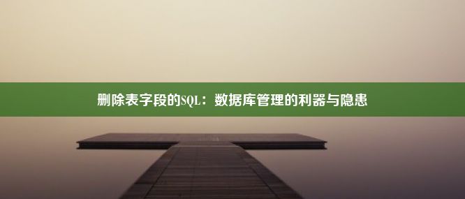 删除表字段的SQL：数据库管理的利器与隐患