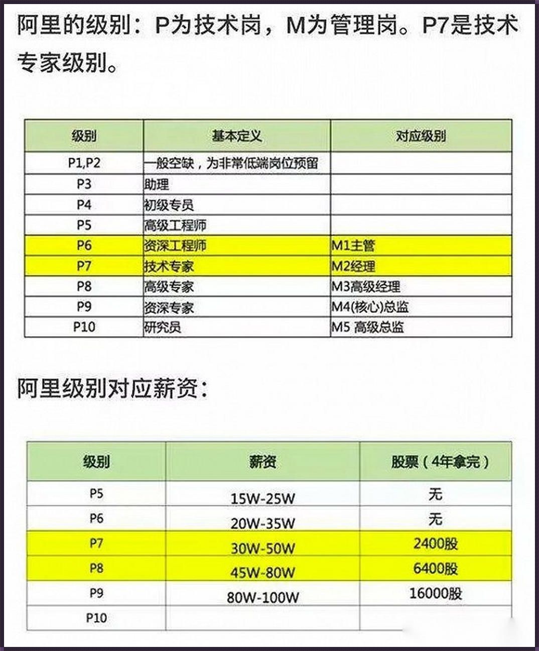 蚂蚁P7：探寻创新玩法的股票宝藏