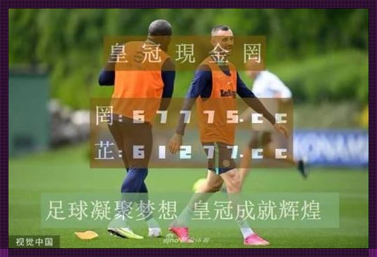 德甲联赛2023-2024：揭秘与感悟