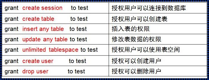 深入解析Oracle用户权限：揭秘背后的安全之道