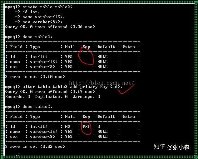 MySQL主键设置的艺术：科技与创造的交汇点