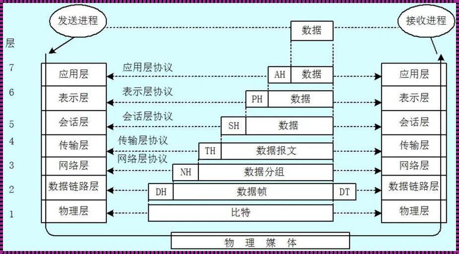 网络7层模型：局面解析与未来展望