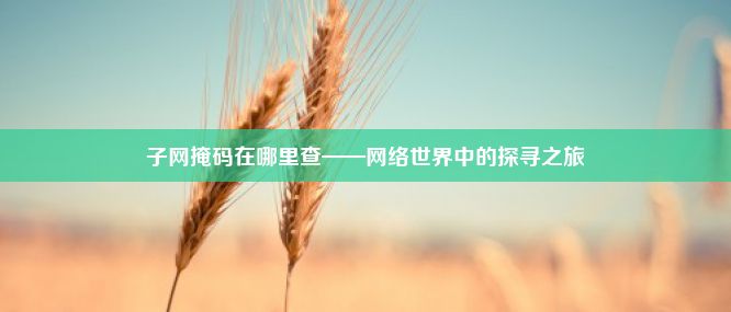 子网掩码在哪里查——网络世界中的探寻之旅