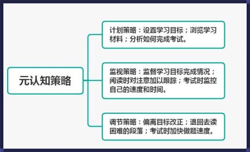 设计策略是什么意思——一次穿越时空的探寻之旅