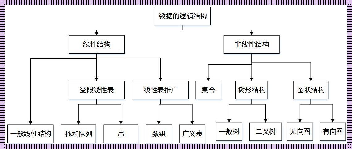 数据的基本概念：探索信息时代的宝藏