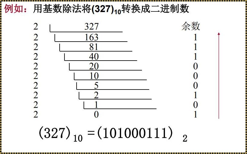 二进制1010：沟通的桥梁