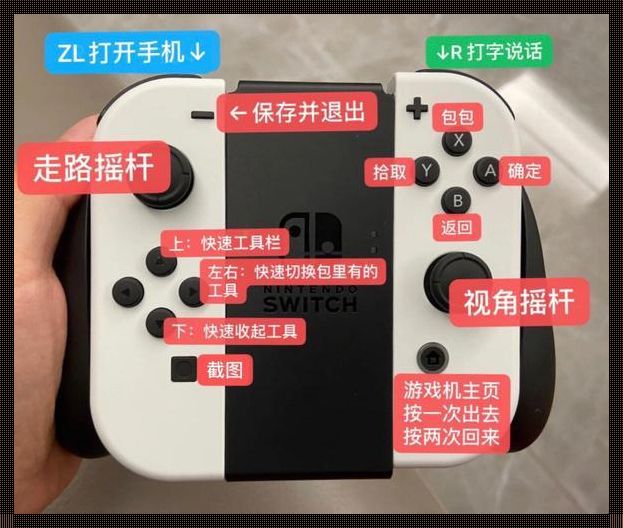 switch账号怎么退出登录——详尽指南与情感攻略