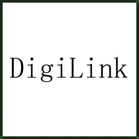 “Digilink”：一个链接虚拟与现实的桥梁