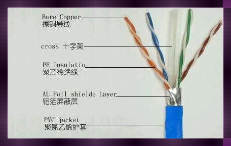 网线分为哪两种——揭秘网络世界的“任督二脉”