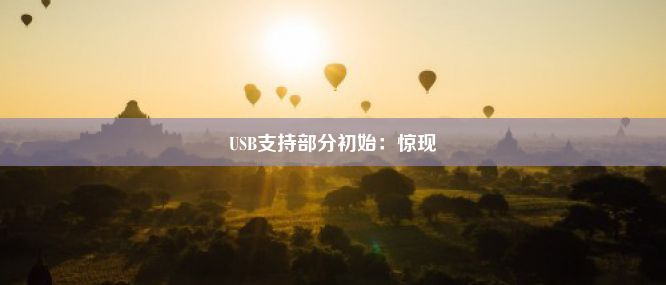 USB支持部分初始：惊现