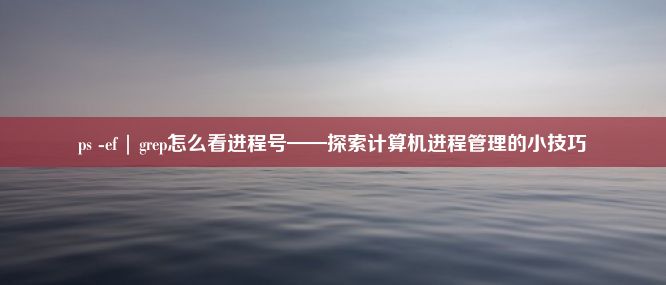 ps -ef | grep怎么看进程号——探索计算机进程管理的小技巧