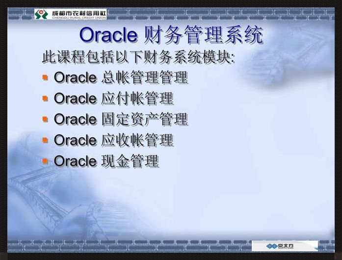 我的探索之旅：Oracle财务软件的分享