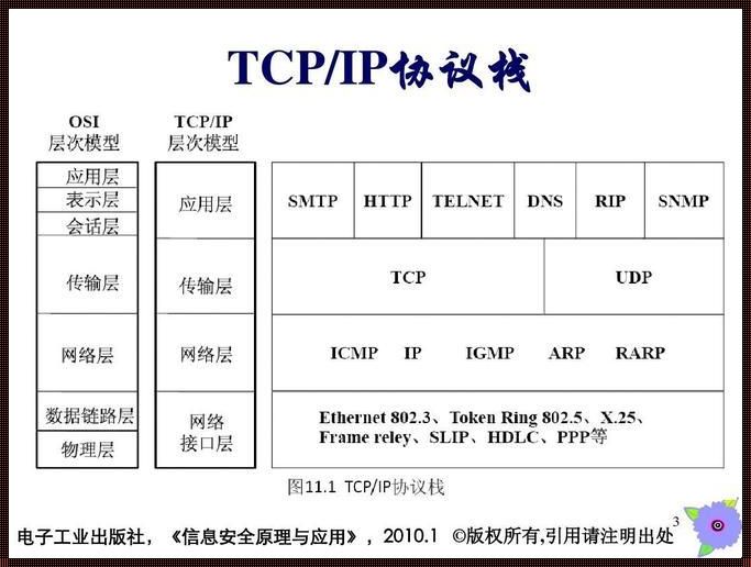 计算机网络协议三要素分别是什么——令人震惊的深度解析