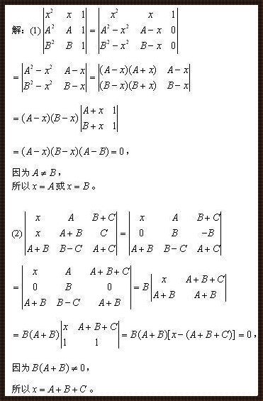 行列式求x的系数例题：破解数学难题的心得体会