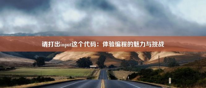 请打出input这个代码：体验编程的魅力与挑战