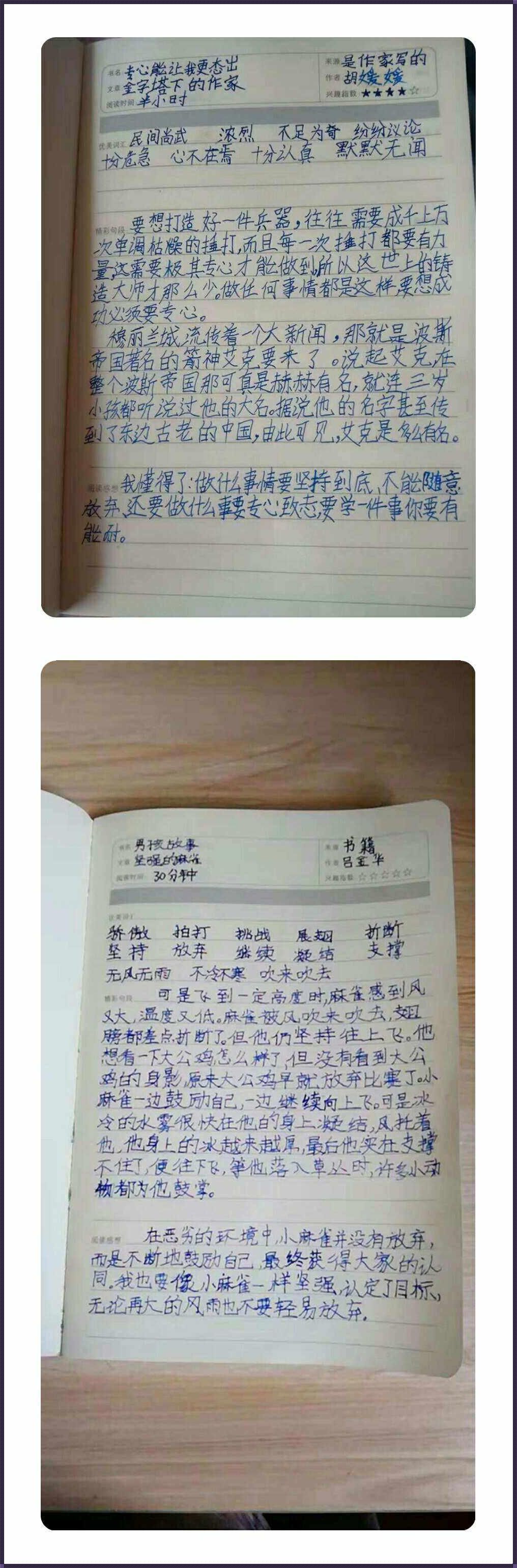 揭秘：今期跑狗图每期自动更新生活笔记