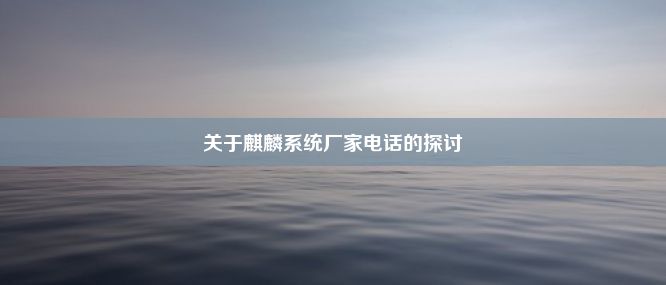 关于麒麟系统厂家电话的探讨