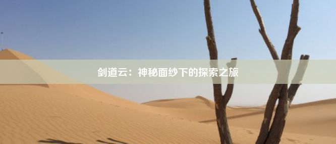 剑道云：神秘面纱下的探索之旅